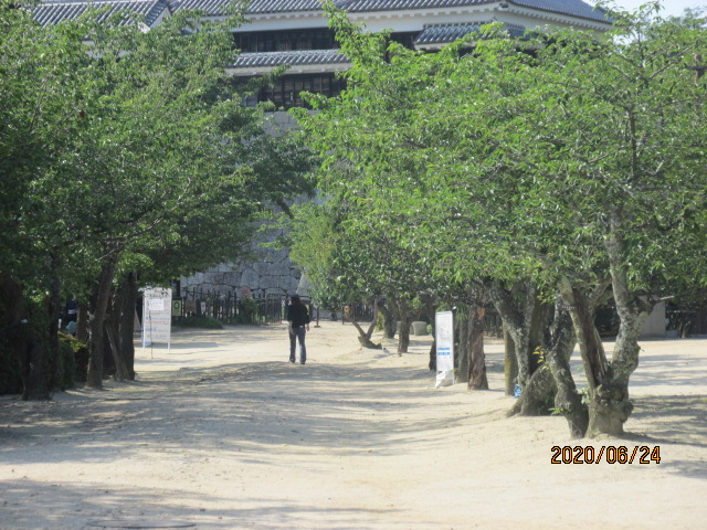 f:id:commodore:20200828214956j:plain f:id:commodore:20200828214956j:plain