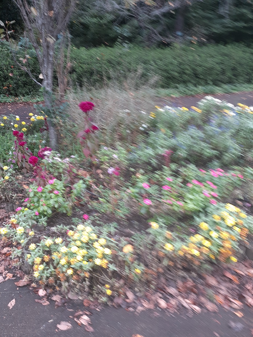 f:id:commodore:20201015182556j:plain