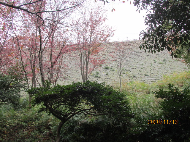 f:id:commodore:20210130223419j:plain
