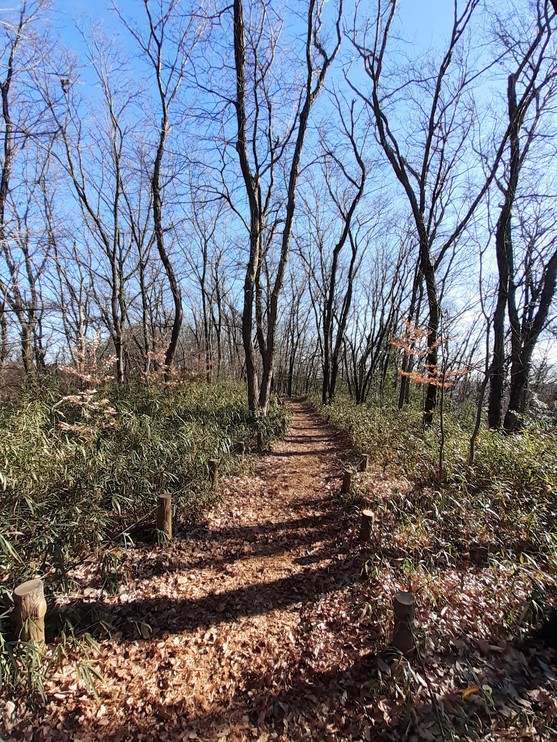 f:id:commodore:20210201220328j:plain