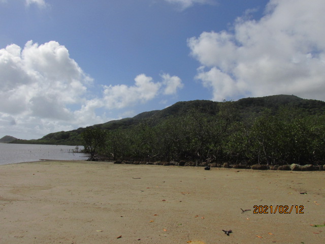 f:id:commodore:20210401220355j:plain