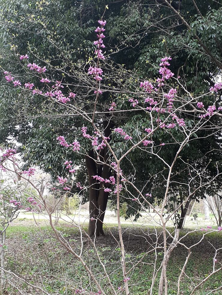 f:id:commodore:20210403100124j:plain