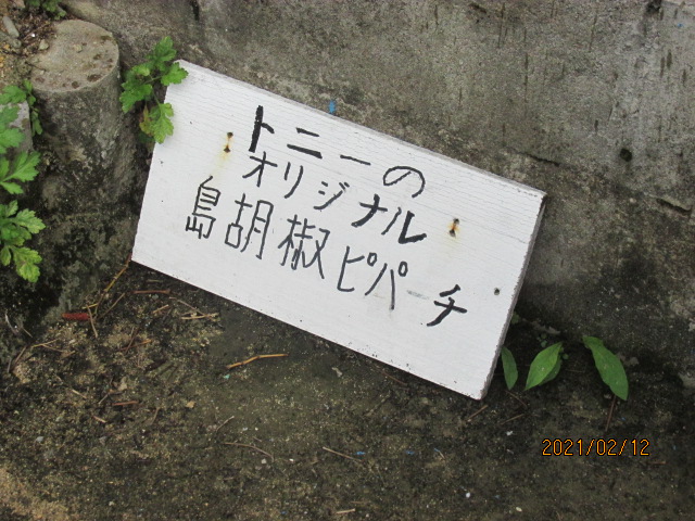 f:id:commodore:20210406214952j:plain