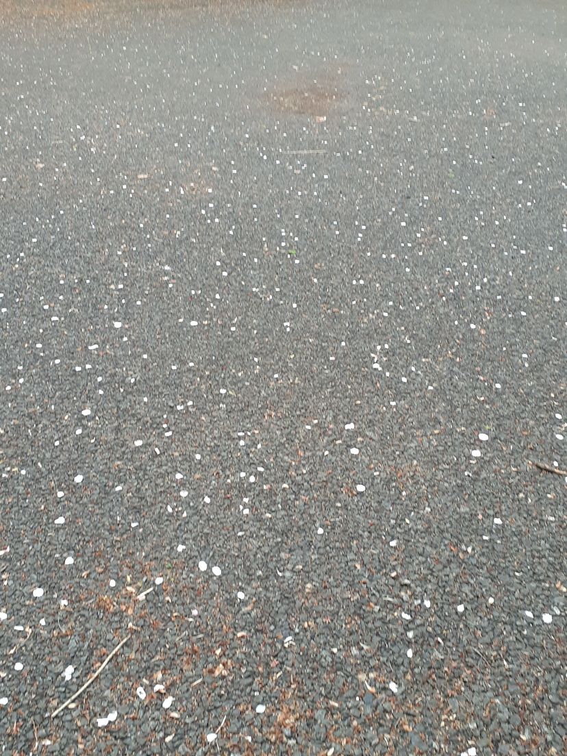 f:id:commodore:20210409184411j:plain