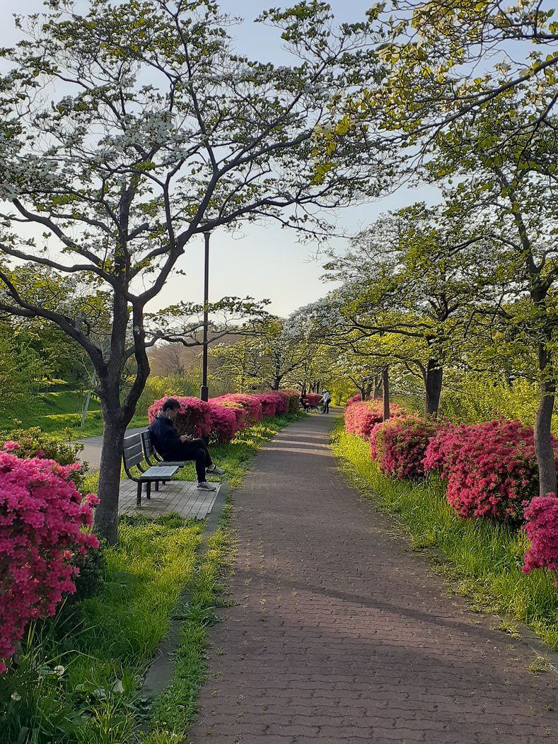 f:id:commodore:20210420175100j:plain