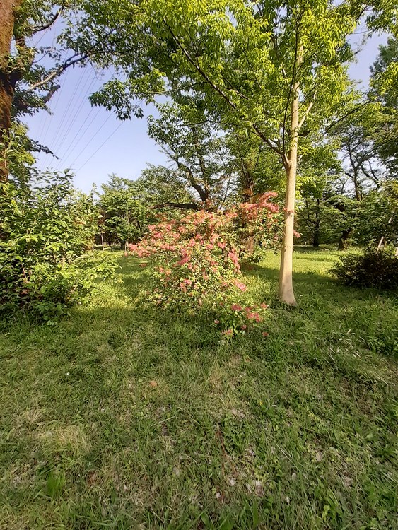 f:id:commodore:20210501202037j:plain