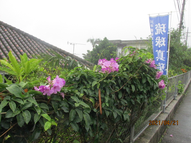 f:id:commodore:20210506230116j:plain