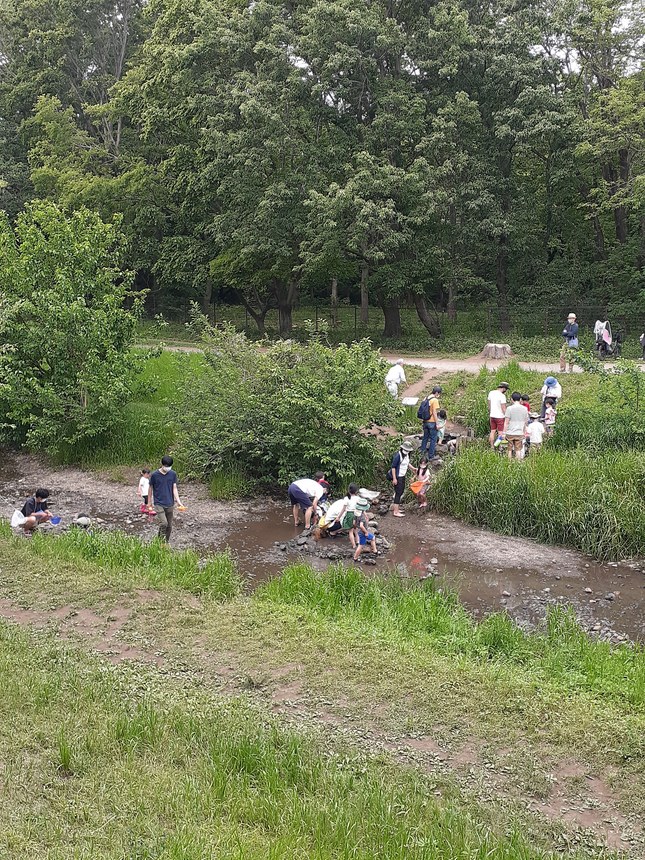 f:id:commodore:20210509215013j:plain