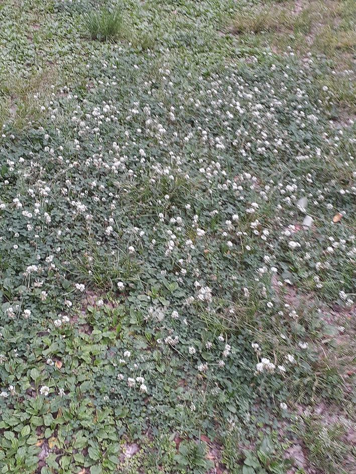 f:id:commodore:20210521205607j:plain