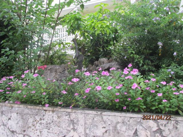f:id:commodore:20210522213755j:plain