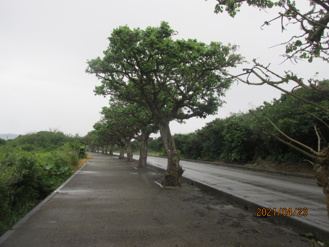 f:id:commodore:20210523221833j:plain