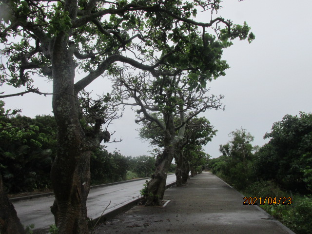 f:id:commodore:20210524232331j:plain