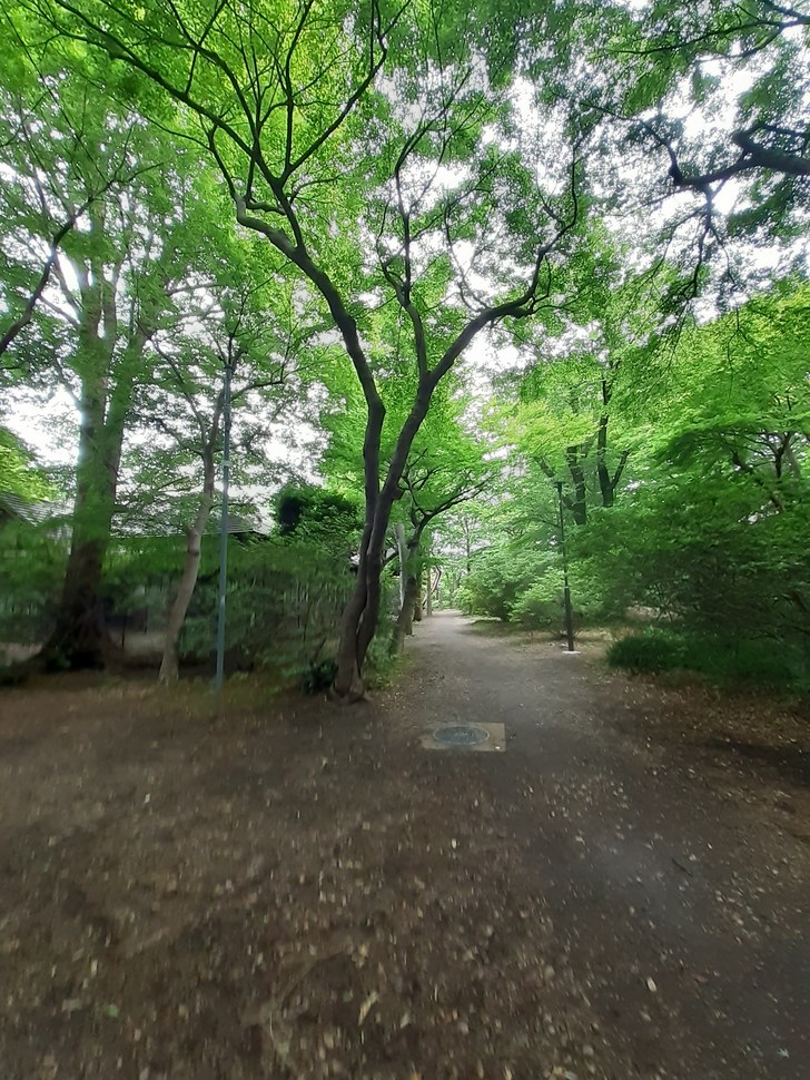 f:id:commodore:20210525211555j:plain