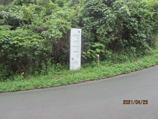 f:id:commodore:20210603230233j:plain