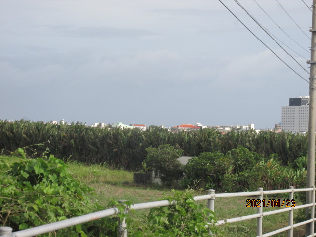 f:id:commodore:20210613203638j:plain