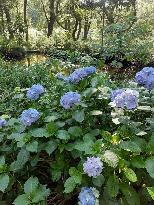 f:id:commodore:20210616184607j:plain