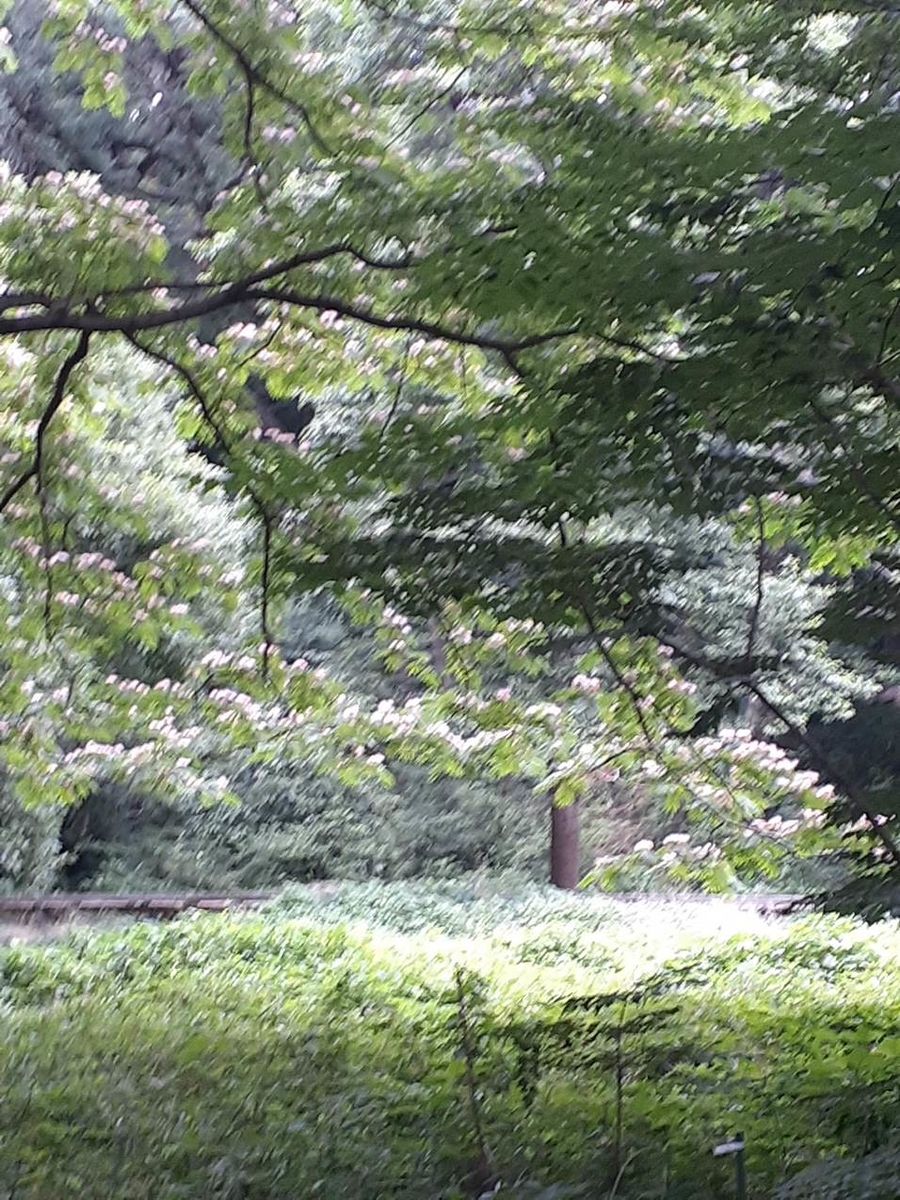 f:id:commodore:20210624170927j:plain