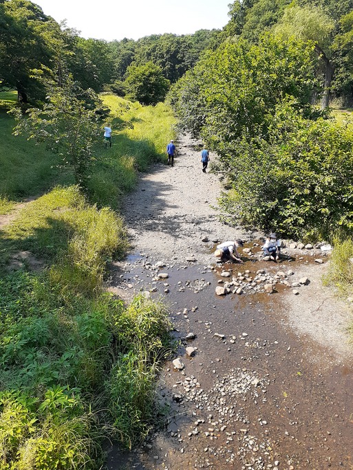 f:id:commodore:20210624171038j:plain