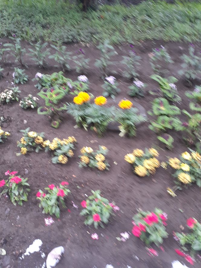 f:id:commodore:20210701210837j:plain