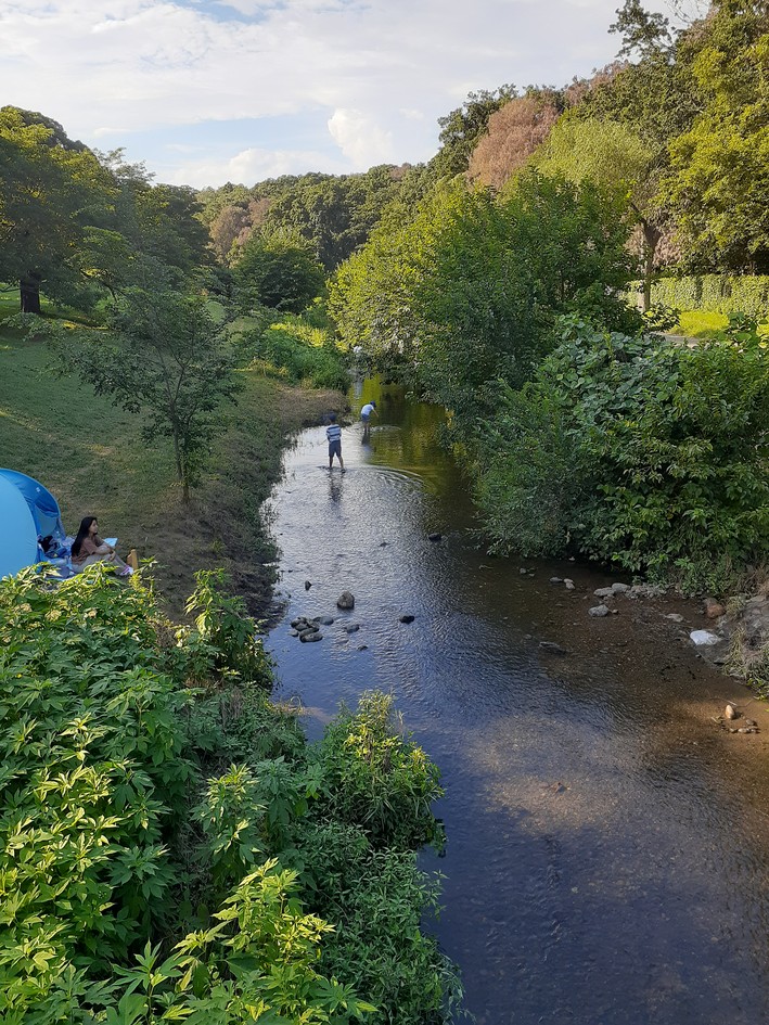 f:id:commodore:20210815113559j:plain