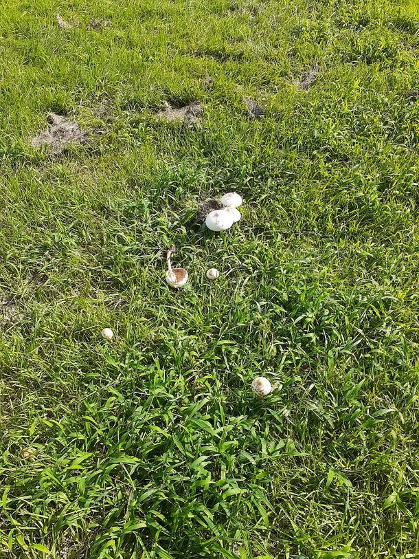 f:id:commodore:20210822181518j:plain