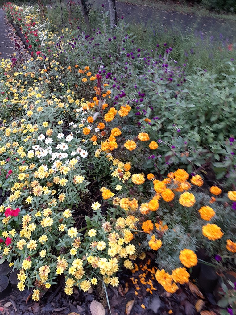 f:id:commodore:20211021233327j:plain