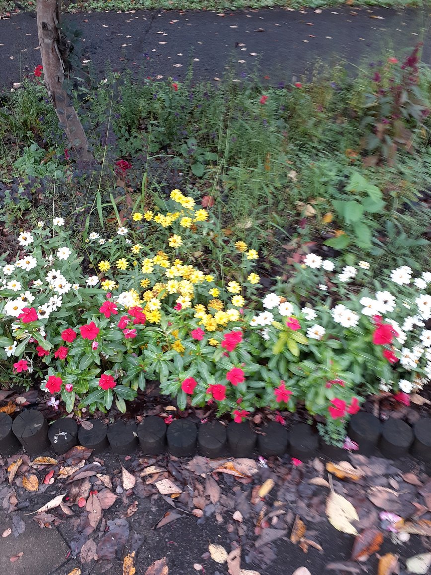 f:id:commodore:20211021233404j:plain