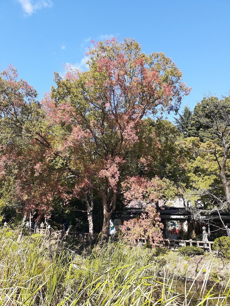 f:id:commodore:20211029204944j:plain