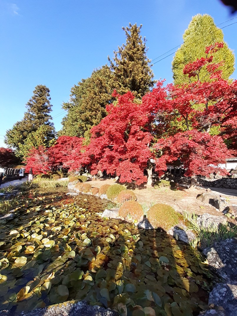 f:id:commodore:20211108181915j:plain