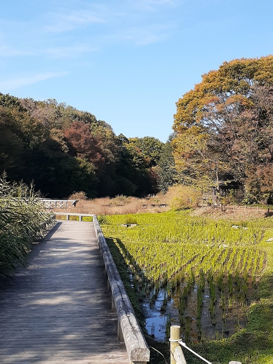 f:id:commodore:20211109183910j:plain