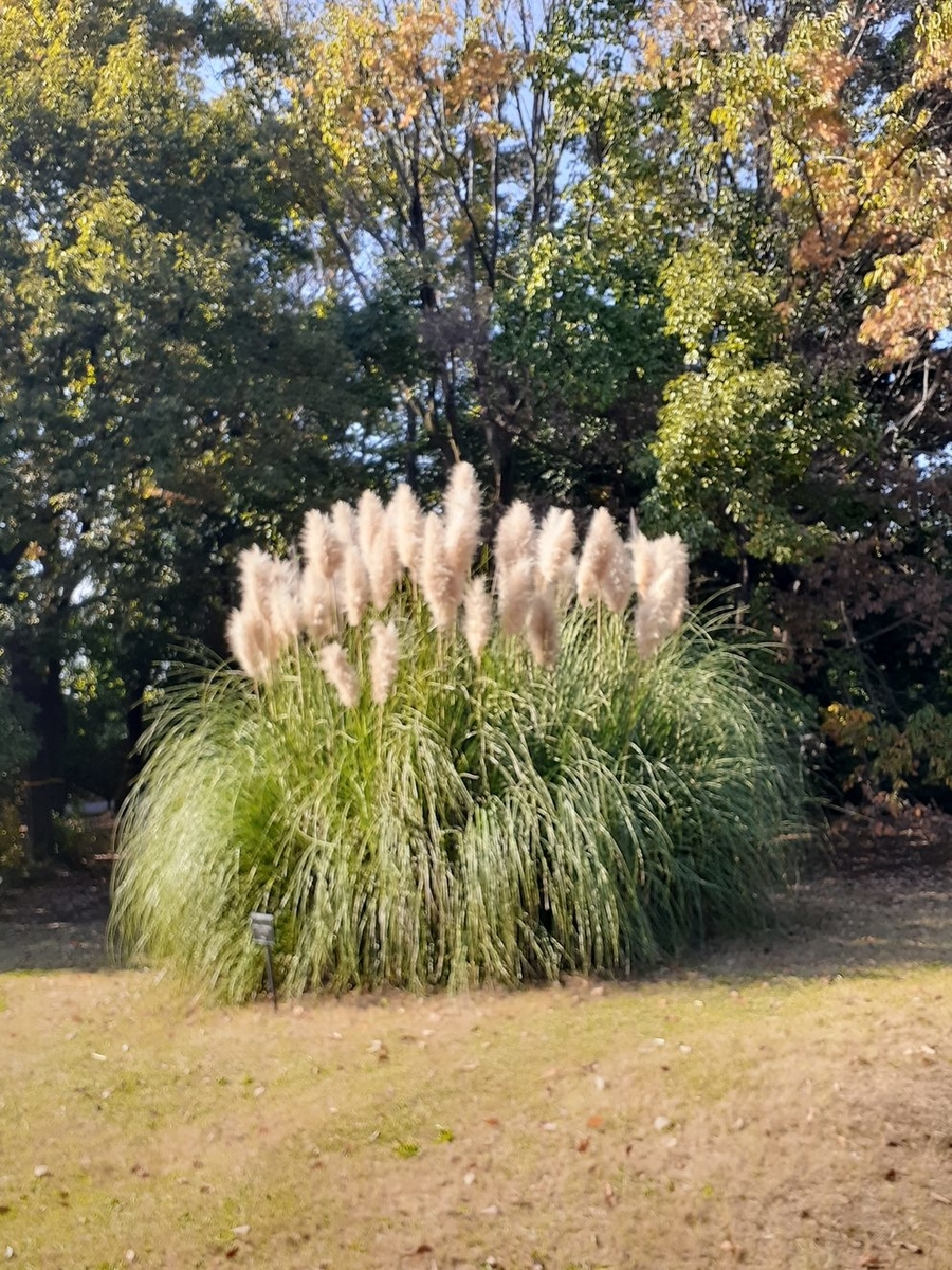 f:id:commodore:20211109184233j:plain