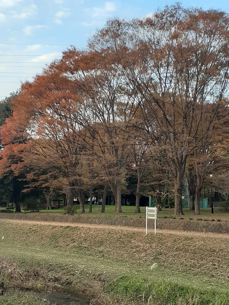 f:id:commodore:20211119184356j:plain