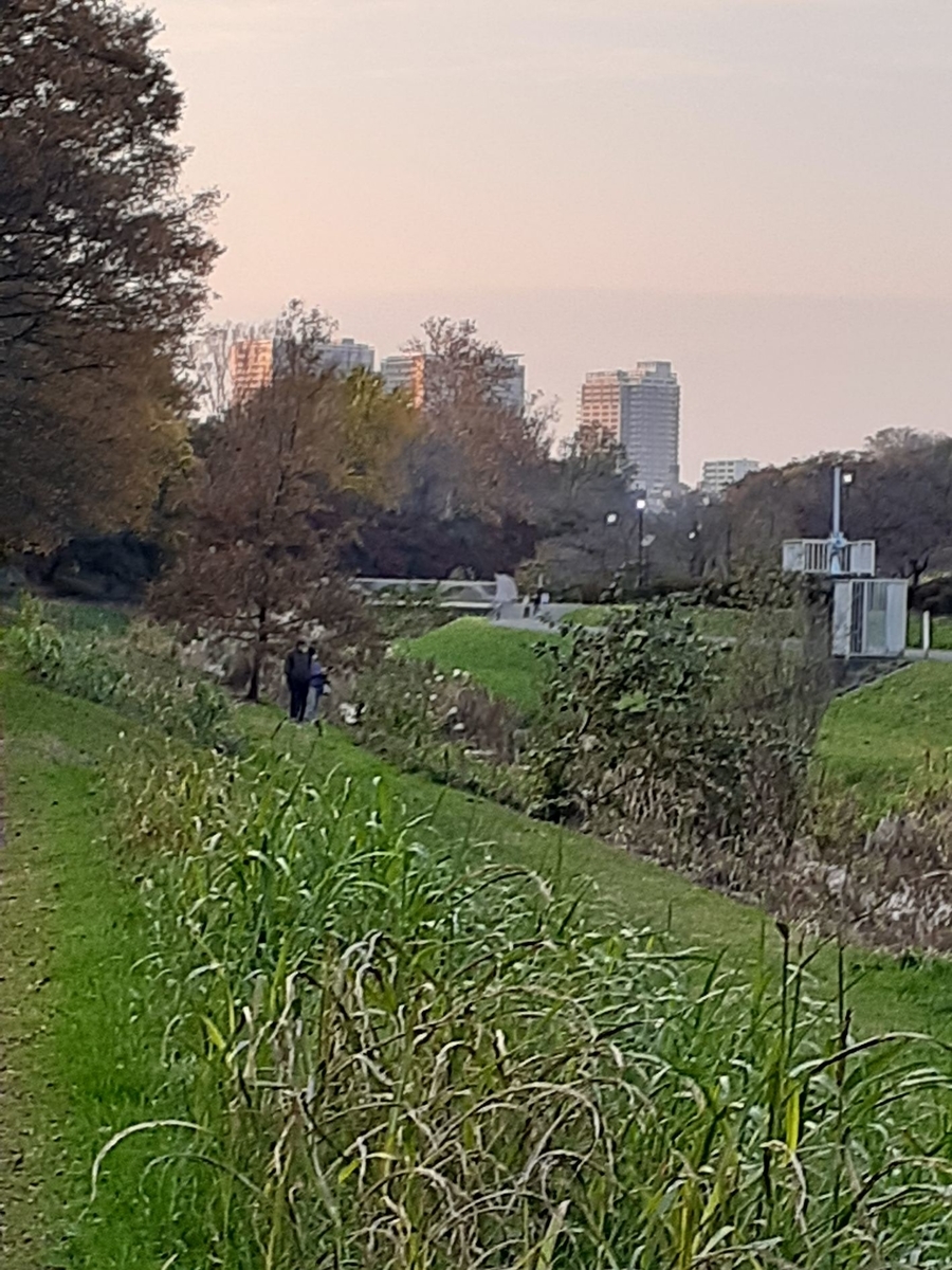 f:id:commodore:20211119184425j:plain