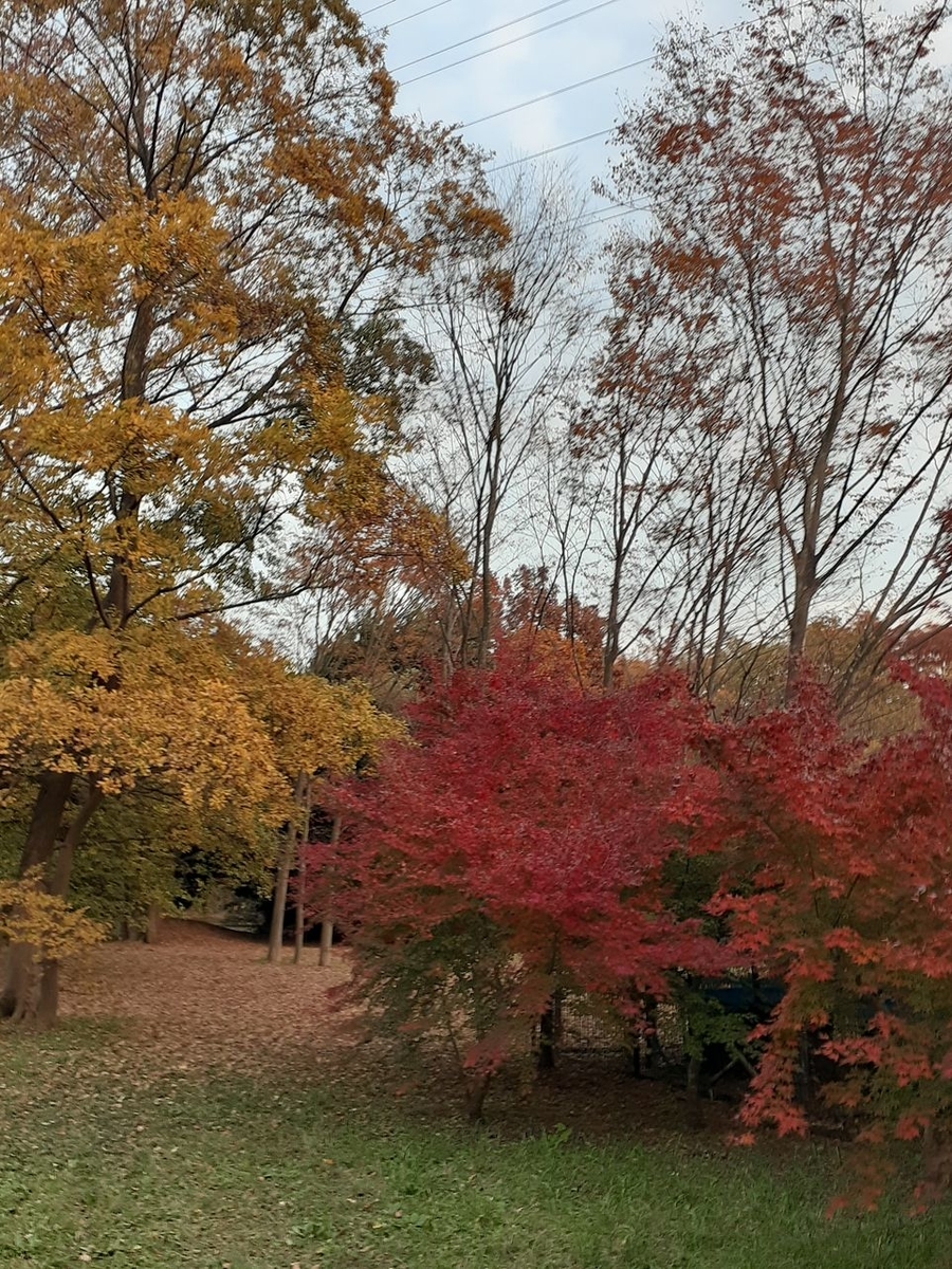 f:id:commodore:20211122172233j:plain