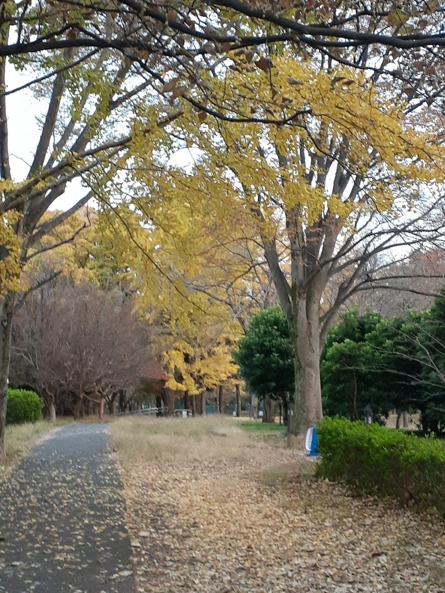 f:id:commodore:20211122172307j:plain