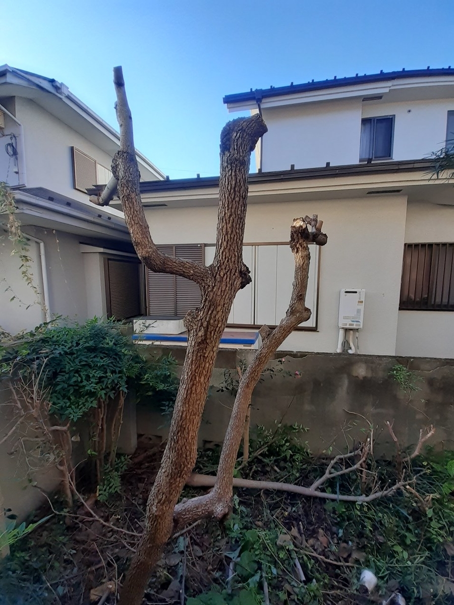 f:id:commodore:20211126214252j:plain