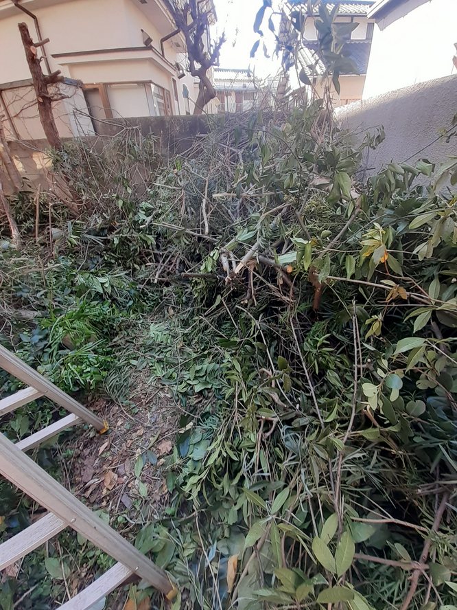 f:id:commodore:20211128204551j:plain