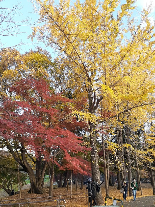 f:id:commodore:20211201143057j:plain