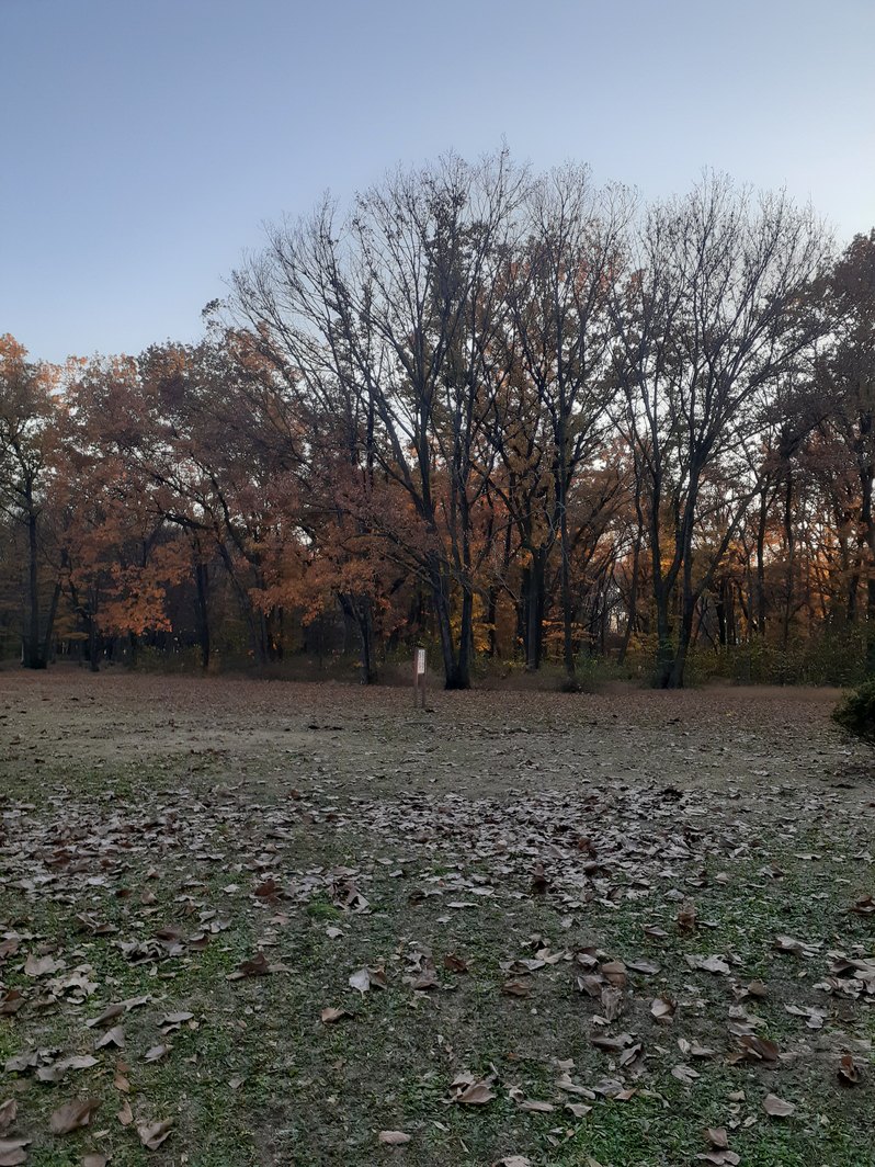 f:id:commodore:20211221174131j:plain