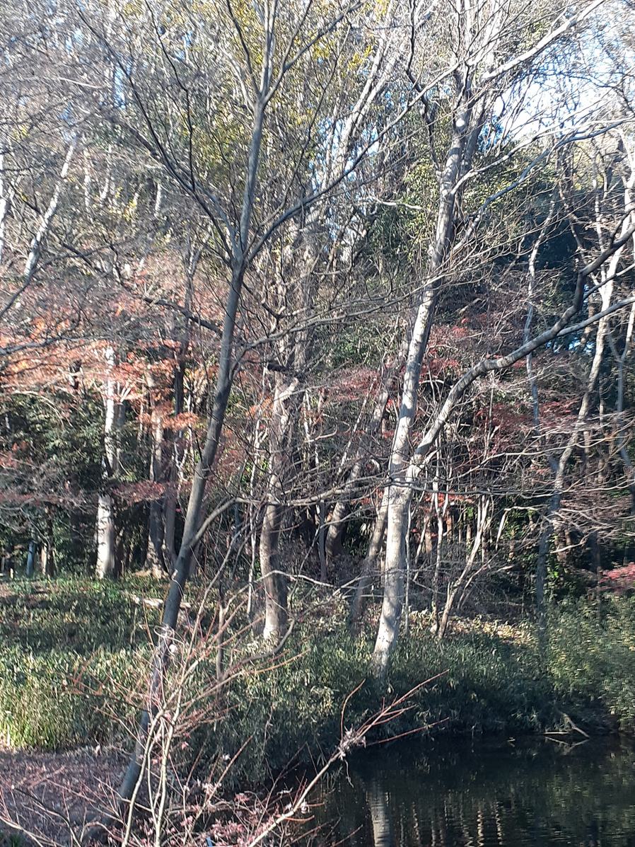 f:id:commodore:20211223175033j:plain