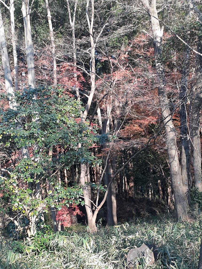 f:id:commodore:20211223175129j:plain