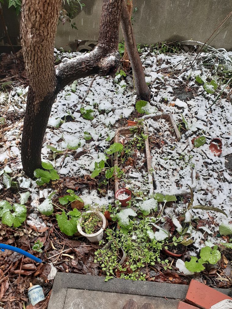 f:id:commodore:20220325191249j:plain