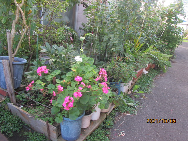 f:id:commodore:20220403151328j:plain