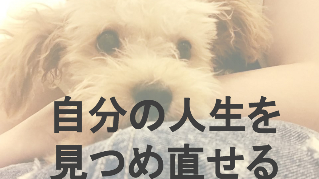 f:id:communityjoshimtg:20180307232813j:plain f:id:communityjoshimtg:20180307232813j:plain