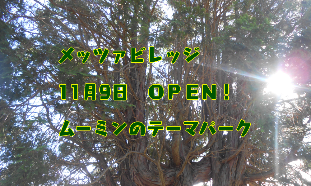 f:id:como-kuma:20181015120817p:plain