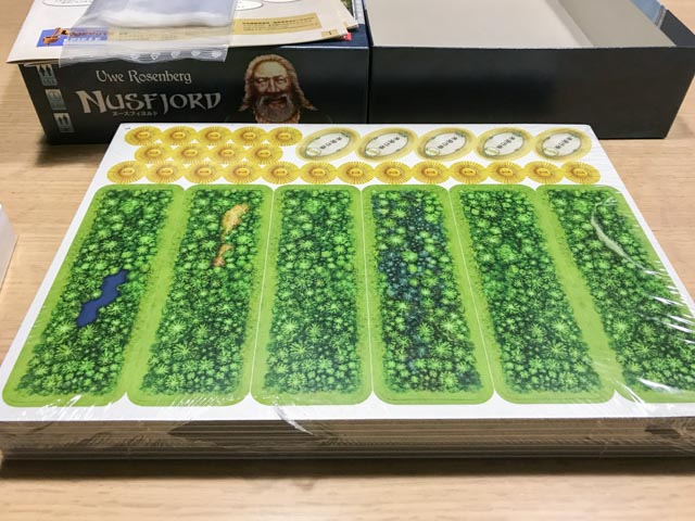 ヌースフィヨルド Nusfjord 日本語版 ボードゲーム 深夜のダイニング フィヨルドに囲まれた美しい静かな村で ニシン御殿の夢を見るひと時 ぼっちのホビーblog ボドゲ版