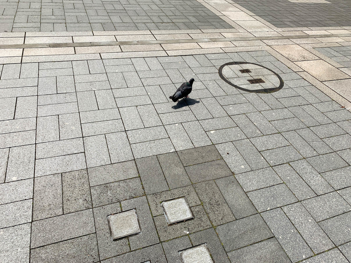 f:id:comonox:20210412071104j:plain