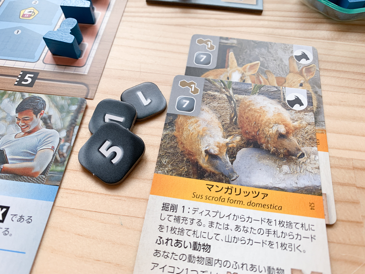 アークノヴァ ARK NOVA 日本語版 アーク・ノヴァ（Ark Nova）新たなる方舟 日本語版【ボドゲ紹介