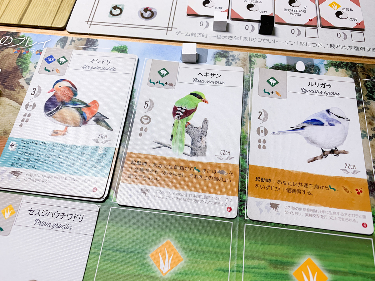 【新品未開封】WINGSPAN ウイングスパン独立型拡張 東洋の翼 ボードゲーム