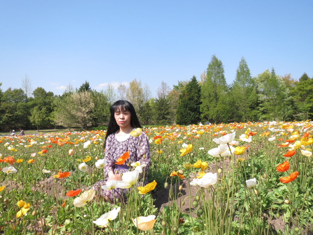 f:id:compass-life:20190419193814j:plain